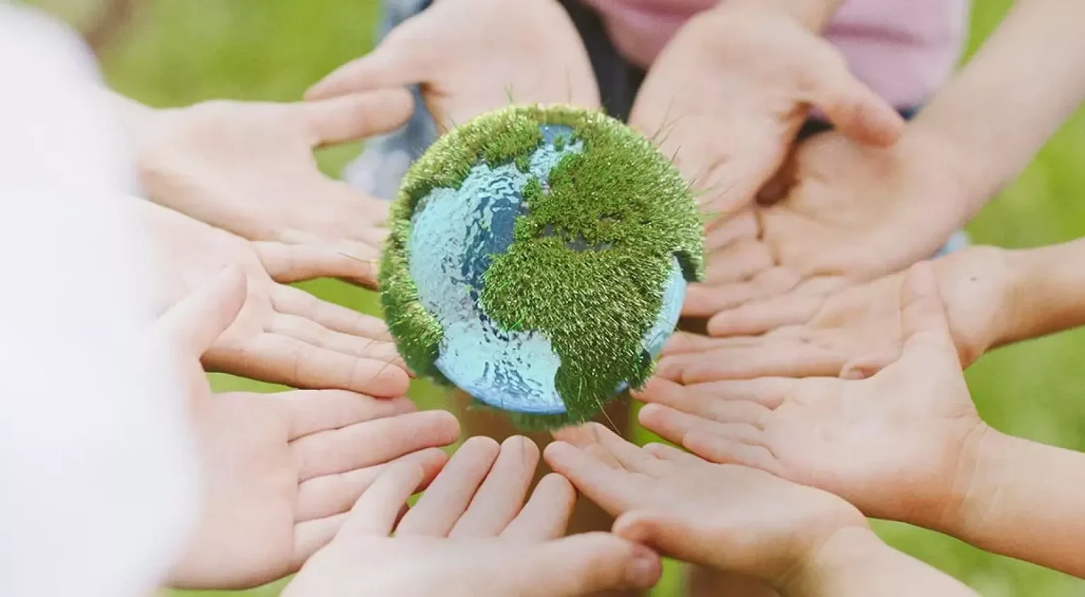 economia circular colaborativa clave para avanzar